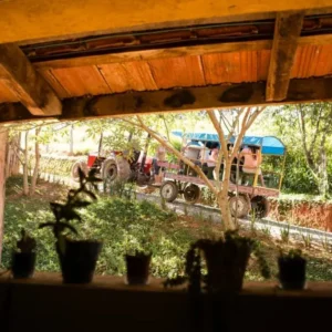 Fazendinha Cheiro do Mato